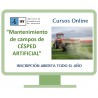 Gestión del mantenimiento de instalaciones deportivas de hierba artificial. 1ª Edición