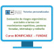 Evaluación de riesgos ergonómicos asociados a tareas con movimientos repetitivos, posturas forzadas, teletrabajo y rediseño